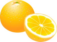 WEBP