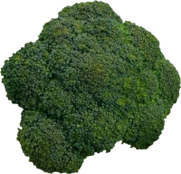 WEBP