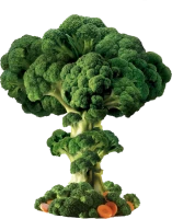 WEBP
