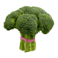 WEBP