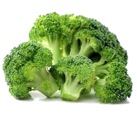 WEBP
