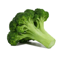 WEBP
