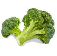 WEBP