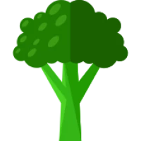 WEBP
