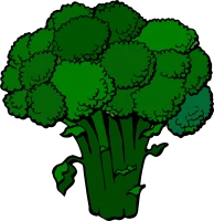 WEBP