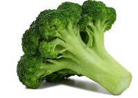 WEBP