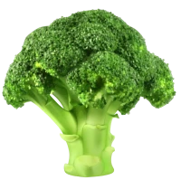 WEBP