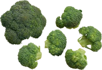 WEBP