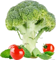 WEBP