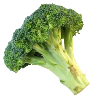 WEBP
