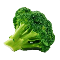 WEBP