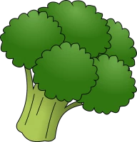 WEBP