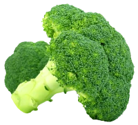WEBP