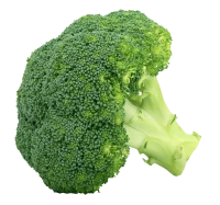 WEBP