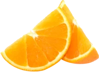 WEBP