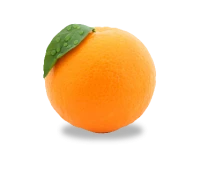 WEBP
