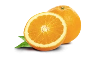 WEBP