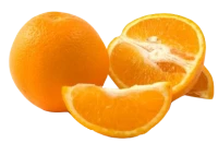 WEBP