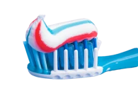 WEBP