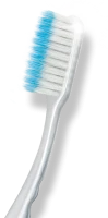 WEBP