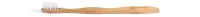 WEBP