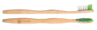 WEBP