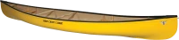 WEBP