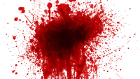 WEBP