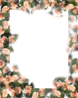 WEBP