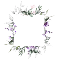 WEBP