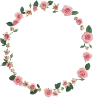 WEBP