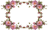 WEBP