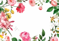WEBP