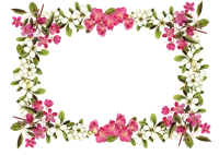 WEBP