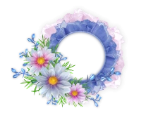 WEBP