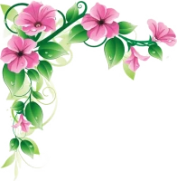 WEBP