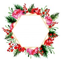 WEBP