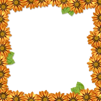 WEBP