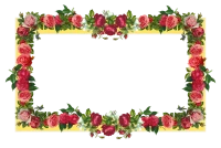 WEBP