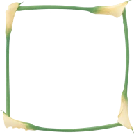 WEBP