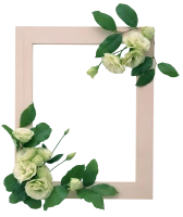WEBP