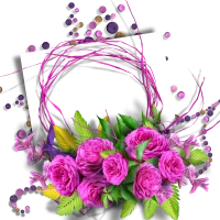 WEBP