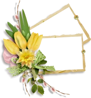 WEBP