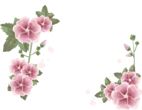 WEBP