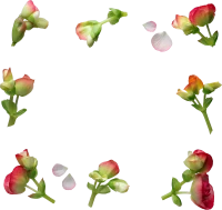 WEBP