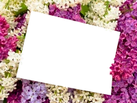 WEBP