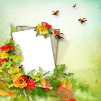 WEBP