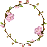 WEBP