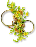 WEBP