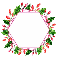 WEBP